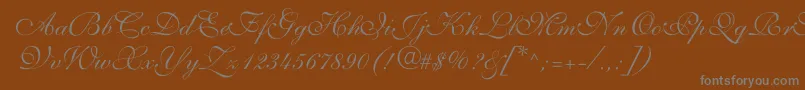 ShelleyvolantescriptNormal Font – Gray Fonts on Brown Background