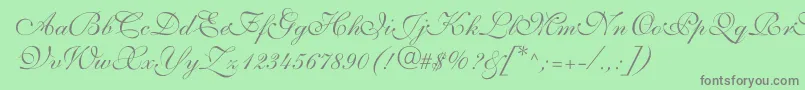 ShelleyvolantescriptNormal Font – Gray Fonts on Green Background