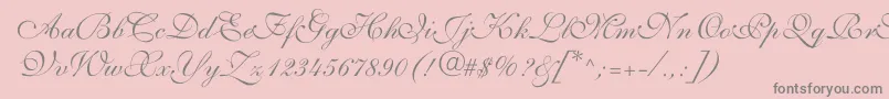 ShelleyvolantescriptNormal Font – Gray Fonts on Pink Background