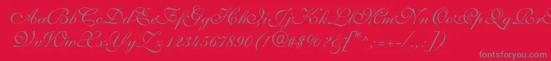 フォントShelleyvolantescriptNormal – 赤い背景に灰色の文字