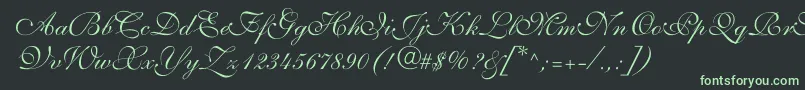 ShelleyvolantescriptNormalフォントについての詳細 フォントShelleyvolantescriptNormal – 黒い背景に緑の文字