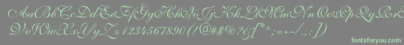 ShelleyvolantescriptNormal Font – Green Fonts on Gray Background