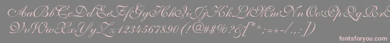ShelleyvolantescriptNormal Font – Pink Fonts on Gray Background