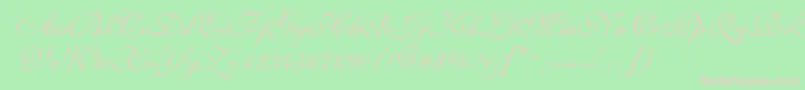 ShelleyvolantescriptNormal Font – Pink Fonts on Green Background