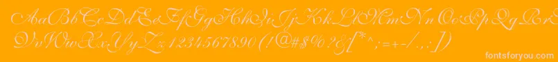 ShelleyvolantescriptNormal Font – Pink Fonts on Orange Background