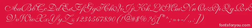 ShelleyvolantescriptNormal Font – Pink Fonts on Red Background
