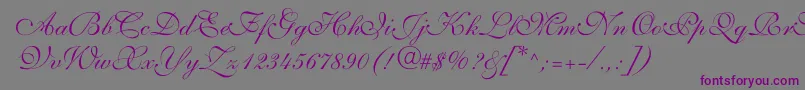 ShelleyvolantescriptNormal-Schriftart – Violette Schriften auf grauem Hintergrund