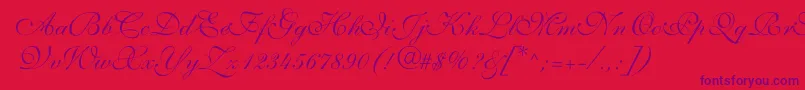 ShelleyvolantescriptNormal Font – Purple Fonts on Red Background