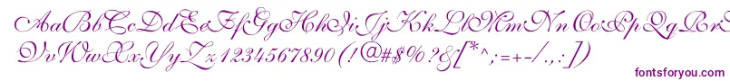ShelleyvolantescriptNormal Font – Purple Fonts on White Background