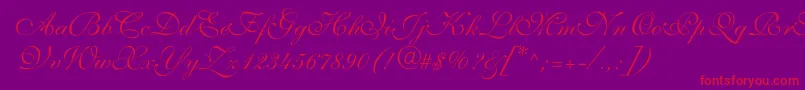 ShelleyvolantescriptNormal Font – Red Fonts on Purple Background