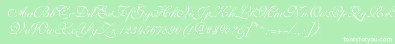 ShelleyvolantescriptNormal Font – White Fonts on Green Background