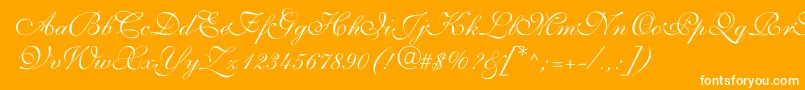 ShelleyvolantescriptNormal Font – White Fonts on Orange Background