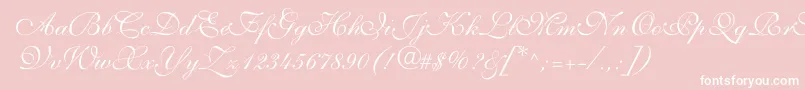 Czcionka ShelleyvolantescriptNormal – białe czcionki na różowym tle