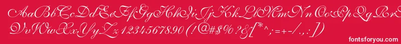 ShelleyvolantescriptNormal-Schriftart – Weiße Schriften auf rotem Hintergrund