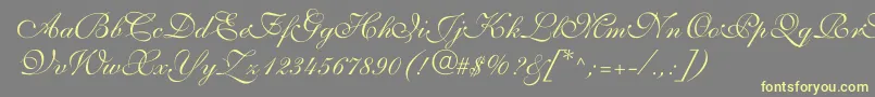 ShelleyvolantescriptNormal-Schriftart – Gelbe Schriften auf grauem Hintergrund
