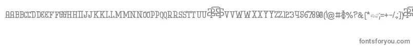 フォントIniBudi – 白い背景に灰色の文字