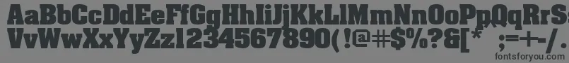Ericabold-Schriftart – Schwarze Schriften auf grauem Hintergrund