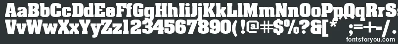 Шрифт Ericabold – белые шрифты на чёрном фоне