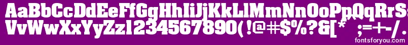 Ericabold Font – White Fonts on Purple Background