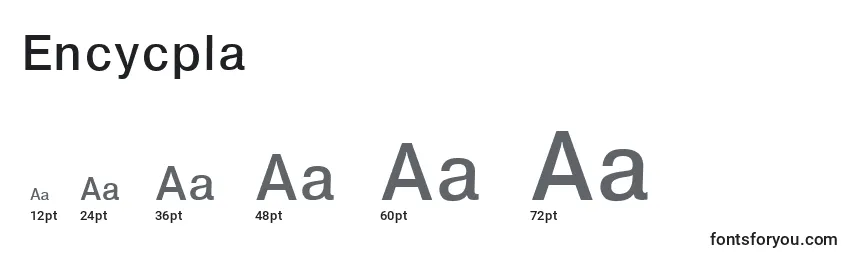 Размеры шрифта Encycpla