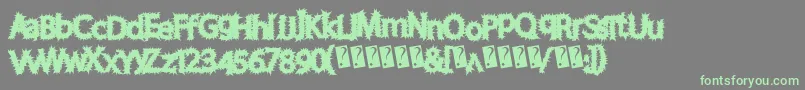 Chronicharvest-Schriftart – Grüne Schriften auf grauem Hintergrund