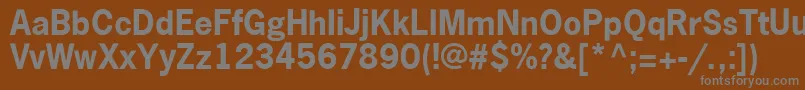 フォントNewsGothicLtBold – 茶色の背景に灰色の文字