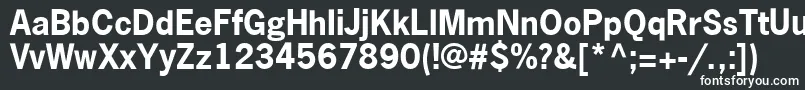 フォントNewsGothicLtBold – 白い文字
