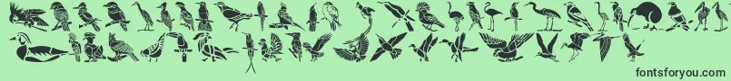 Czcionka HffBirdStencil – czarne czcionki na zielonym tle