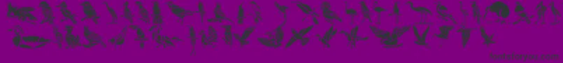 HffBirdStencil-Schriftart – Schwarze Schriften auf violettem Hintergrund