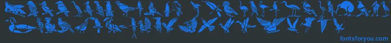 HffBirdStencil-fontti – siniset fontit mustalla taustalla