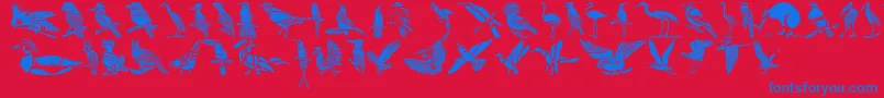 HffBirdStencil-Schriftart – Blaue Schriften auf rotem Hintergrund