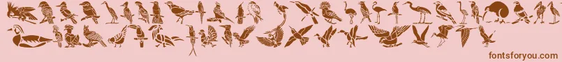 HffBirdStencil-Schriftart – Braune Schriften auf rosa Hintergrund