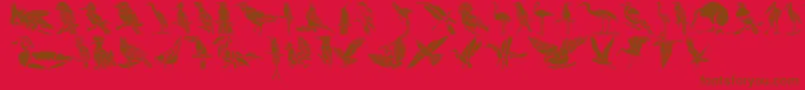 フォントHffBirdStencil – 赤い背景に茶色の文字