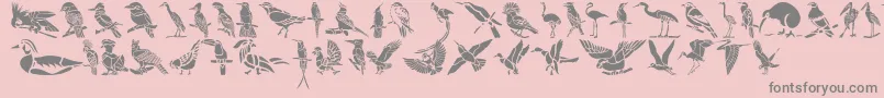 Czcionka HffBirdStencil – szare czcionki na różowym tle