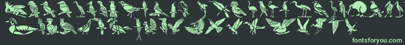 HffBirdStencil-fontti – vihreät fontit mustalla taustalla