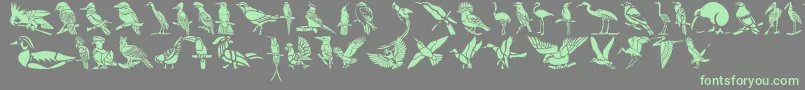 フォントHffBirdStencil – 灰色の背景に緑のフォント