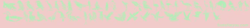 HffBirdStencil-Schriftart – Grüne Schriften auf rosa Hintergrund