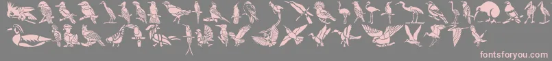 HffBirdStencil-fontti – vaaleanpunaiset fontit harmaalla taustalla