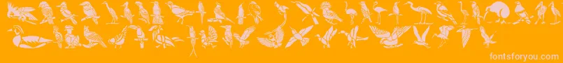 Czcionka HffBirdStencil – różowe czcionki na pomarańczowym tle
