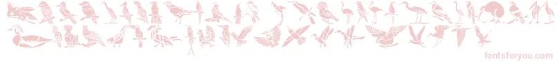 Czcionka HffBirdStencil – różowe czcionki