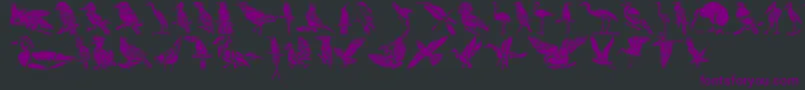 HffBirdStencil Font – Purple Fonts on Black Background