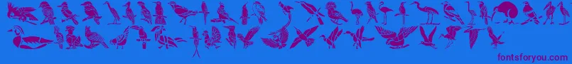 Czcionka HffBirdStencil – fioletowe czcionki na niebieskim tle