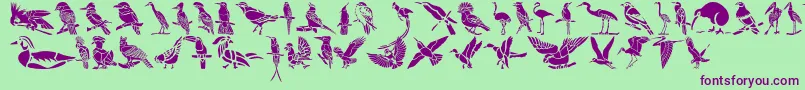 Czcionka HffBirdStencil – fioletowe czcionki na zielonym tle