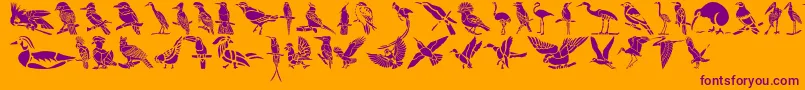 HffBirdStencil Font – Purple Fonts on Orange Background