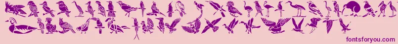 HffBirdStencil Font – Purple Fonts on Pink Background