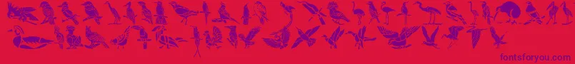 Czcionka HffBirdStencil – fioletowe czcionki na czerwonym tle