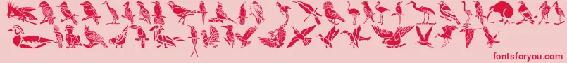 HffBirdStencil-fontti – punaiset fontit vaaleanpunaisella taustalla