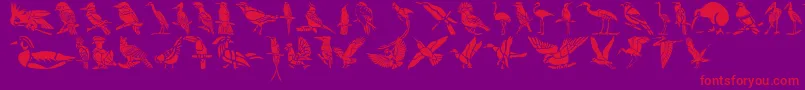 Czcionka HffBirdStencil – czerwone czcionki na fioletowym tle