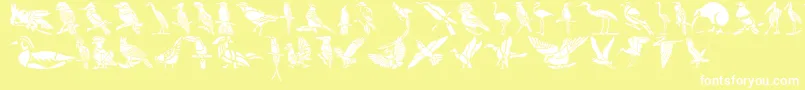 Czcionka HffBirdStencil – białe czcionki na żółtym tle