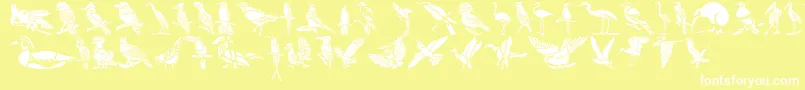 HffBirdStencil-Schriftart – Weiße Schriften auf gelbem Hintergrund